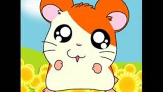 Hamtaro Japanese theme Song [upl. by Ennaimaj]