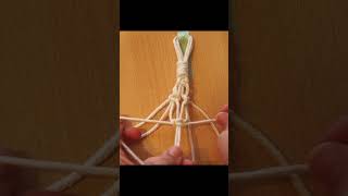 Makramee Amaryllis Aufhängung 🌺 Macrame Plant Wall Hanging [upl. by Ysnat]