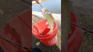 How to Catch Rainbow Trout in Texas with Texas Parks and Wildlife Program fishing texas [upl. by Ettenig391]