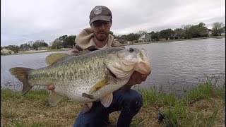 TOP 3 HUGE LARGEMOUTH BASS CAUGHT ON CAMERA compilation [upl. by Wichern]