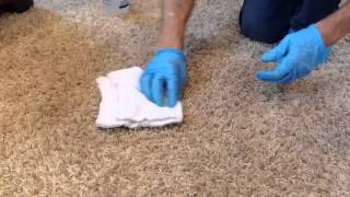 How to Remove Grease Stains From Carpet [upl. by Anwahsad]