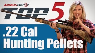 Top 5 22 Cal Hunting Pellets [upl. by Winnifred]