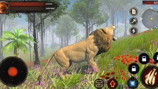 Best Animal Games  The Lion Simulator  Android Gameplay HD [upl. by Yruama]