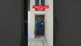 Exercise for backache 🔥shorts trending ❤️viralvideo ytshorts shortvideo 📷trendingshorts reels [upl. by Wolfgang652]