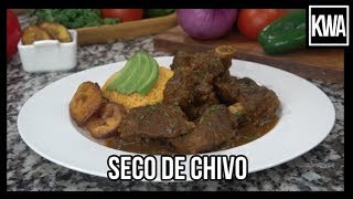 SECO DE CHIVO [upl. by Itoc]