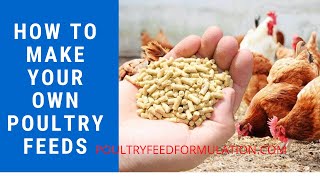 Poultry Feed Formulation How to Make your Own Poultry Feed HD [upl. by Steiner516]