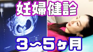 【妊娠3〜5ヶ月】妊婦健診の様子〜奇跡の連続【妊娠Vlog Vol2】 [upl. by Virgina]