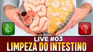 Limpe seu Intestino e Veja sua Barriga Secar de Forma Rápida e Fácil – 20h30 DR RENATO SILVEIRA [upl. by Odranoel]