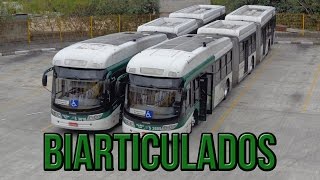 Biarticulados de São Paulo [upl. by Morra]