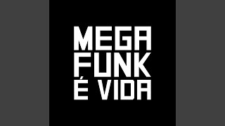 MEGA FUNK BOLADÃO [upl. by Joey980]