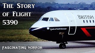 The Story of Flight 5390  A Short Documentary  Fascinating Horror [upl. by Vonny]