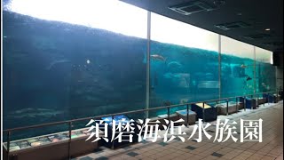 【水族館巡り】神戸市立須磨海浜水族園 本館編 Suma Aqualife Park KOBE [upl. by Eudocia]