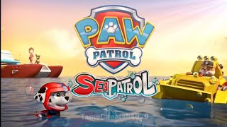 PAW Patrol Beach Animal Rescues amp Adventures  30 Minute Compilation  Nick Jr [upl. by Silra]