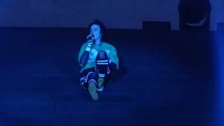 Billie Eilish  ilomilo  Live  Lollapalooza Brasil 2023 [upl. by Teddy]