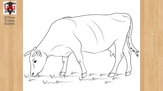 How to Draw a Cow Easy Drawing  Step by Step Cow Sketch for Beginners Art [upl. by Omrellug]