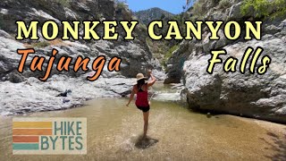 MONKEY CANYON FALLS  Big Tujunga Creek Angeles Forest  BEST LA HIKING Adventure [upl. by Harmonie]