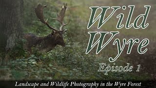 Wild Wyre Ep 01  Waterfalls and Deer in the Wyre Forest  Landscape and Wildlife Photography Vlog [upl. by Waylon]