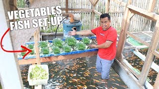 BUILDING HYDROPONICS COLORED FISH TANK SETUP [upl. by Yenar807]