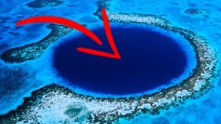 Bottom Of Belize Great Blue Hole Reveals Something SCARY [upl. by Leoine]