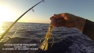 Savage 3D Swim Squid  Do they work SeaStormFishing [upl. by Shandie]