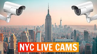 5 Live Webcams to Explore New York City [upl. by Aselehc862]