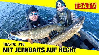 TBA TV Team BoddenAngeln 16 Mit Jerkbaits auf Hecht [upl. by Avek]