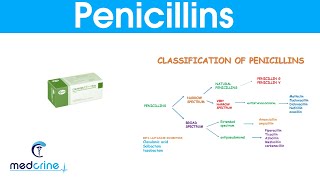 Penicillins classification MOA indications  side effects pharmacokinetics [upl. by Kevyn]