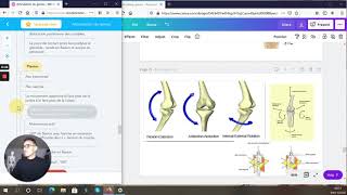 FLEXION et EXTENSION du GENOU  PHYSIOLOGIE ARTICULAIRE  BIOMÉCANIQUE [upl. by Marquet]