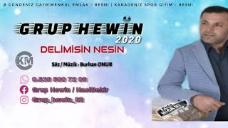 Grup Hewin 2020 Delimisin Nesin  Official Audio [upl. by Eat382]