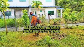 Machine work grass cutting [upl. by Eads997]