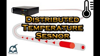 Distributed Temperature Sensor  How It Works [upl. by Nadiya]