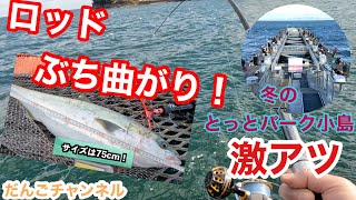 【釣行】とっとパーク小島 アジ・サバ＋青物釣行 [upl. by Leiso]