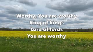 Agnus Dei  King of Kings Lyric Video  Hillsong Worship [upl. by Hathaway]