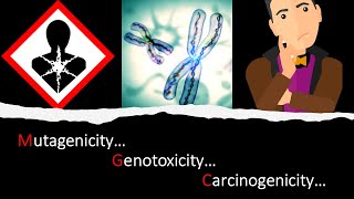 GT  13 Mutagenicity vs Genotoxicity vs Carcinogenicity General Toxicology Module 13 [upl. by Francis]