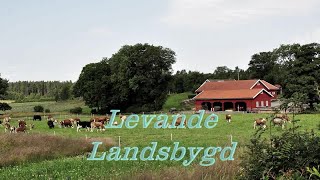 Levande landsbygd Dokumentär om modern lantgård 2024  LTVUSE [upl. by Edson]