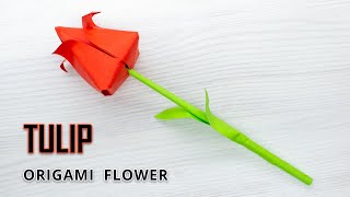 How to make paper TULIP [upl. by Dorr]