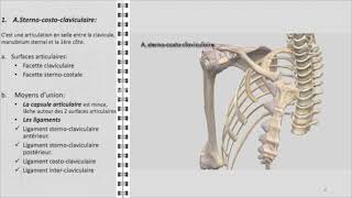 ANATOMIE FMPM ÉPAULE [upl. by Ateuqirne]