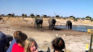 Botswana Tour  Salt Pans amp Elephants [upl. by Soren]