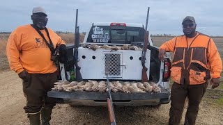 PT3 His First Time Ever Limited Out Rabbit Hunting with Byers Kennel  Three Man Limit [upl. by Forkey304]