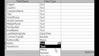 Microsoft Office Access 2000 Memo data type [upl. by Barris]