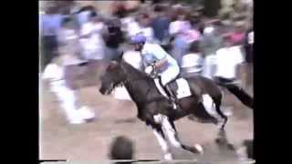 The Burghley Horse Trials 1991 [upl. by Selinski308]