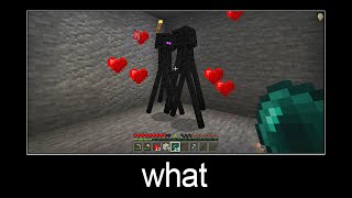 Minecraft wait what meme part 23 [upl. by Aysab938]