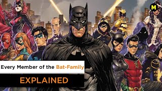 Every Member of the BatFamily Explained [upl. by Tnilk]