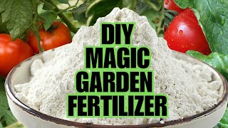 Magic Fertilizer For All Vegetables  100 Success Results [upl. by Whittemore478]