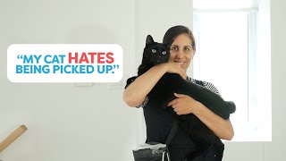 Teach Your Cat To Enjoy Being Picked Up [upl. by Attenna]