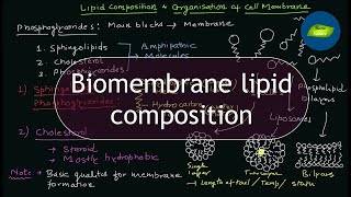 Biomembrane lipid composition  Organization of Cell Membrane  Cell Biology  Basic Science Series [upl. by Hpesoy]