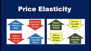 What is Price Elasticity [upl. by Kelson343]