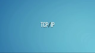 Winderton  Основы программирования TCPIP [upl. by Burgwell188]