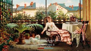 Johann Strauss II  Pizzicato Polka [upl. by Avert872]