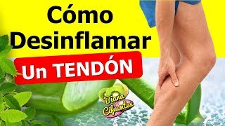 Inflamacion De Tendones ¿Como Desinflamar Un Tendon [upl. by Kelcie644]